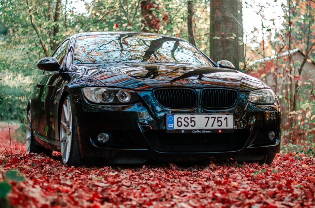 BMW 335i e92 n54