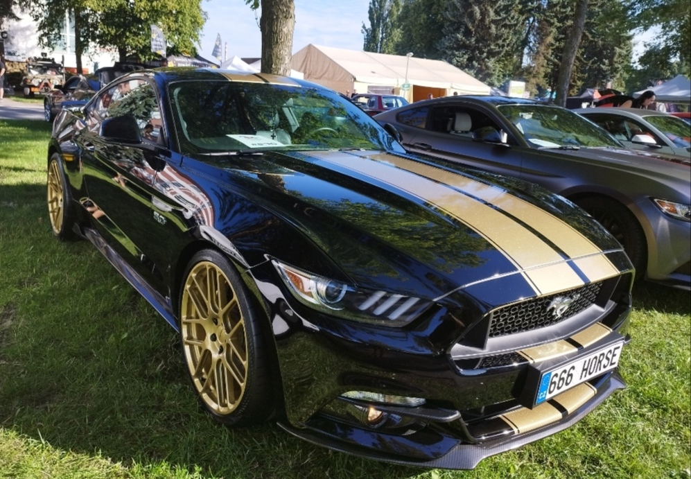 ford mustang 5.0 gt